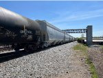 PNWX 201643